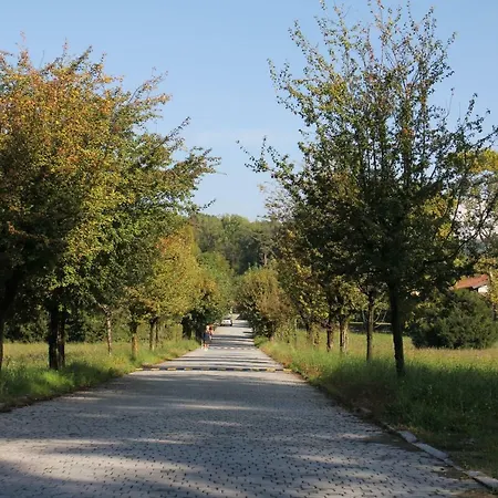 L'antica Corte Lazzago Pensjonat 4*